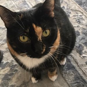 Meet your Posher, Gregory